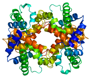 Protein_HBD_PDB_1a00.png